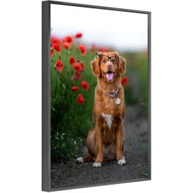 Custom Canvas Prints With Your Photos for Pet Family Photo Prints Personalized Canvas Aluminum Alloy Framed Wall Art (BLACK: 16*24)